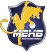 Massy Essonne Handball